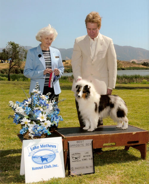 Marshland Pure As Driven Snow